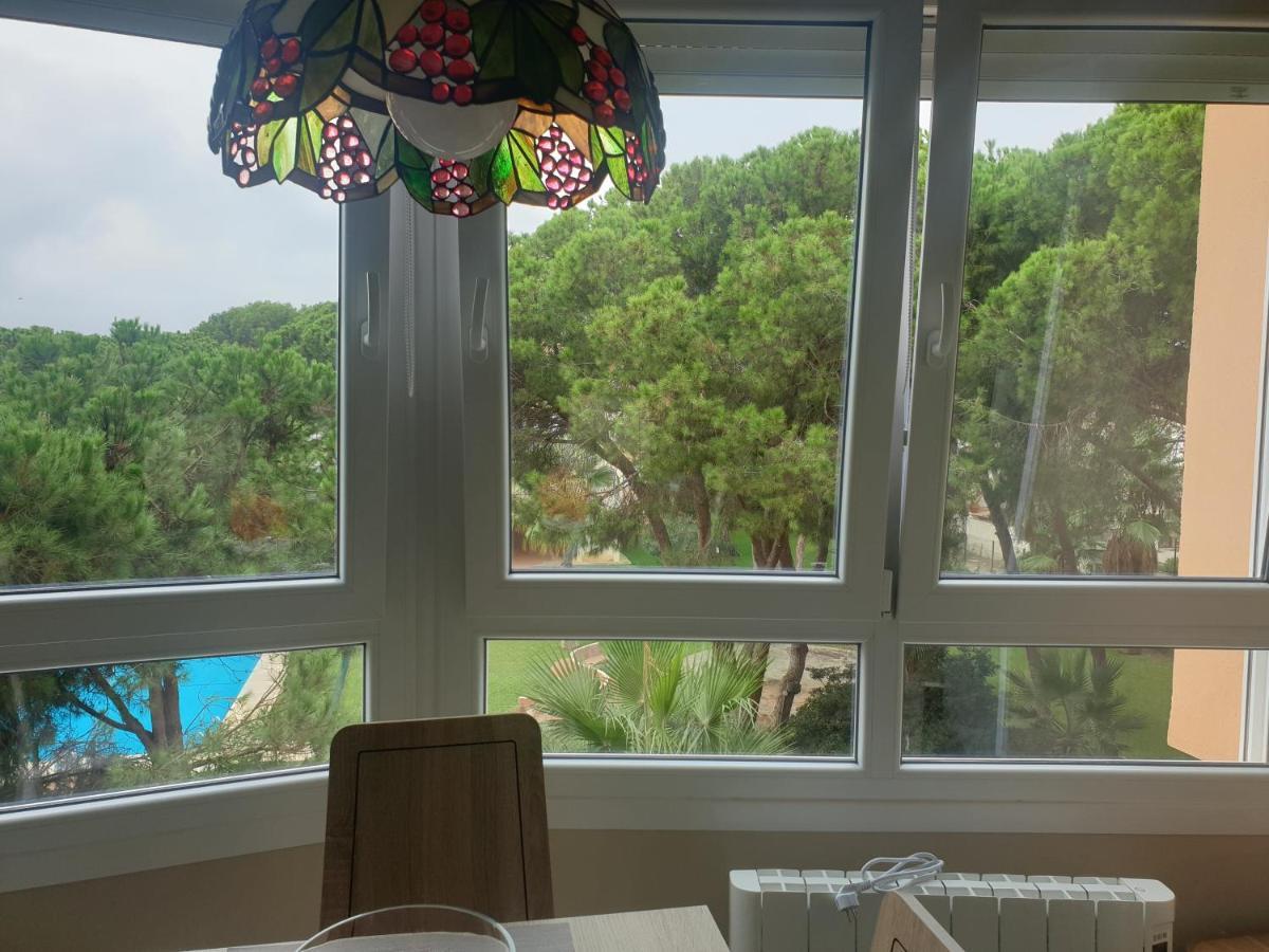 Precioso Estudio Con Piscina A 200M Del Mar Marbella Exteriér fotografie